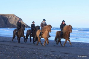 Kaldbakur Tour 2015 (9)